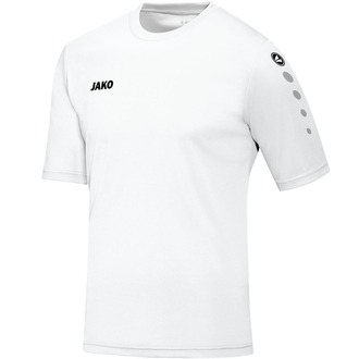 [4233] Shirt Team KM